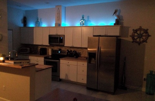 Tampa House | 2/2 cozy home mins from Downtown Tampa, Ybor City, Amalie Arena ,Bucs Stadium!