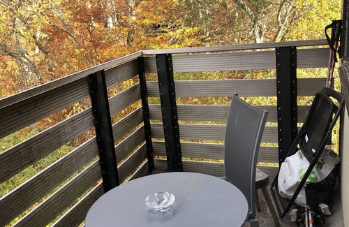 Besse-et-Saint-Anastaise Apartment | 2-bedroom apartment with piste view 5 minutes from center