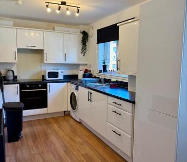 East End Apartment | 2 Bedroom Apartment near Glasgow City Centre, Celtic Park and Emirates Arena