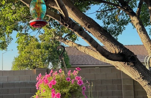 Sierra Vista House | 2-bedroom clean home in Sierra Vista, WiFi, AC, covered patio & shaded backyard.