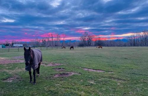 Bozeman Apartment | 2 Bedroom Loft on Horse, Goat, Donkey and Cow Farm