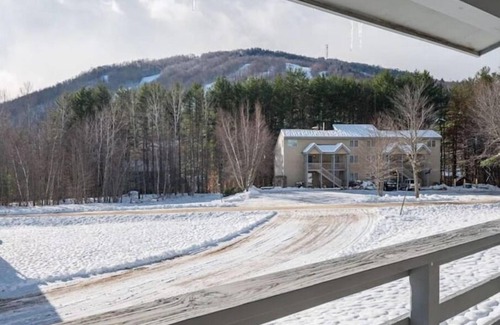 Greenwood Condo | 2 BR Mountain Biking and Ski Condo near Mt. Abram