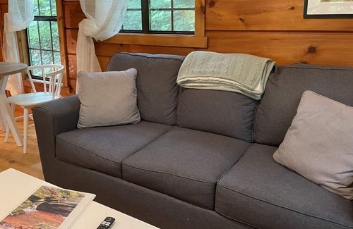 Saluda Cabin | 2 Cozy quiet nestled cabin w/ hot tub, firepit and waterfall in Saluda, NC