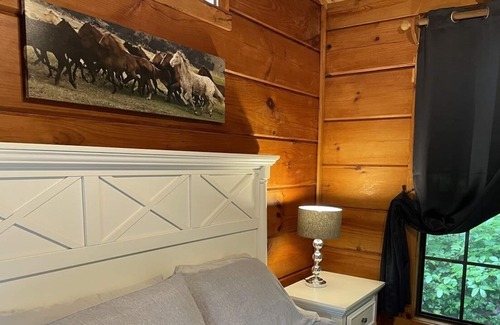 Saluda Cabin | 2 Cozy quiet nestled cabin w/ hot tub, firepit and waterfall in Saluda, NC