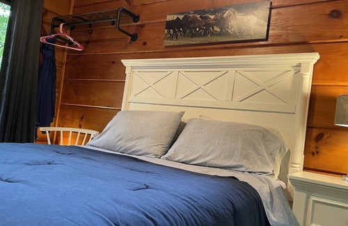Saluda Cabin | 2 Cozy quiet nestled cabin w/ hot tub, firepit and waterfall in Saluda, NC