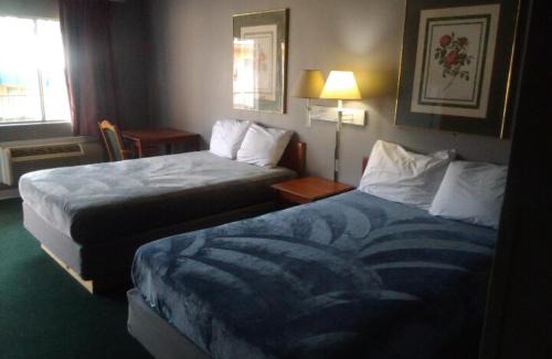Livingston Apartment | 2 Double Beds Hotel Studio 115
