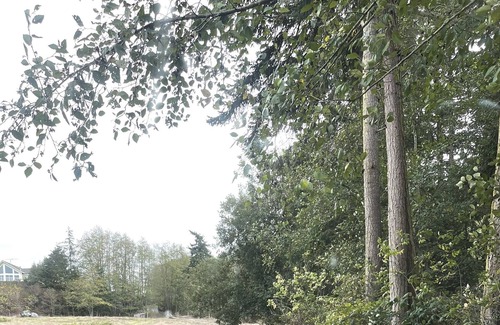 Oak Harbor Apartment | 2 Miles from Deception Pass w/Strait of Juan de Fuca VIEWS !