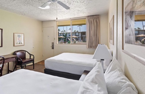 Kahului Hotel | 2 Pet-Friendly Rooms! Located near the Exquisite Maui Nui Botanical Gardens!