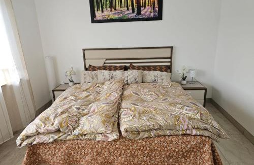 Sankt Georgen im Schwarzwald Apartment | 2 Rooms Holiday Appartment