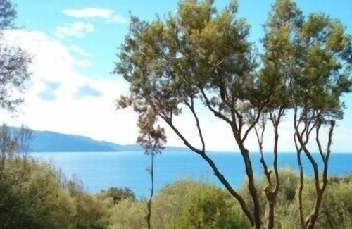 Ventiseri Apartment | 2-room vacation rental in CORSE COTE ORIENTALE