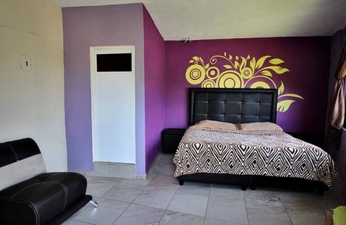 Xilitla Hotel | 20 de Noviembre