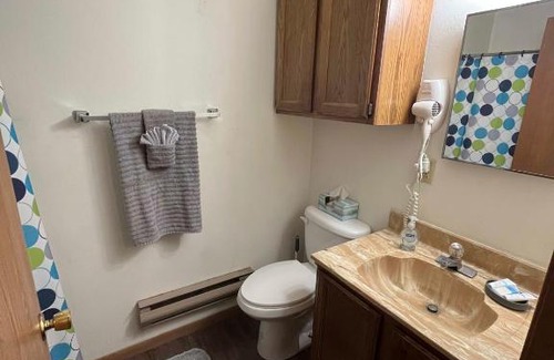 Tomah Apartment | 201-A East Veterans St