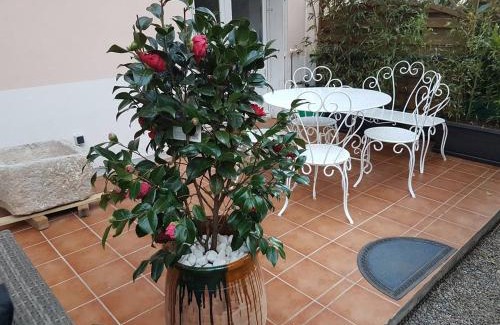 Ceret Apartment | 23 Rue Jean Amade