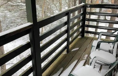 Snowshoe Condo | 24 Mountain Crest, Snowshoe, WV - Rustic Retreat