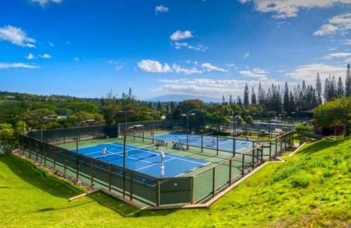Napili Apartment | 2914 Ridge