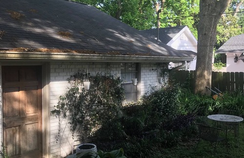 Downtown House | 2BR house near downtown and UL. Charming Street!