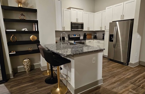 Lindbergh Apartment | 2br Luxury Apartment ATL - Buckhead