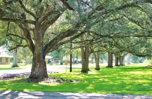 Lake Charles House | 3/2 on 1 acre on main road close to Casinos, Restaurants & Plants!