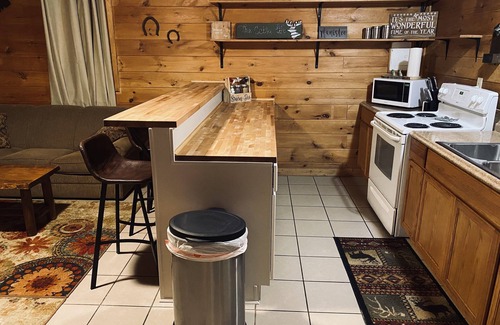 Wellston Cabin | 3 Bed Cozy Cabin Near Trails, Tippy Dam, Manistee River, Casino.