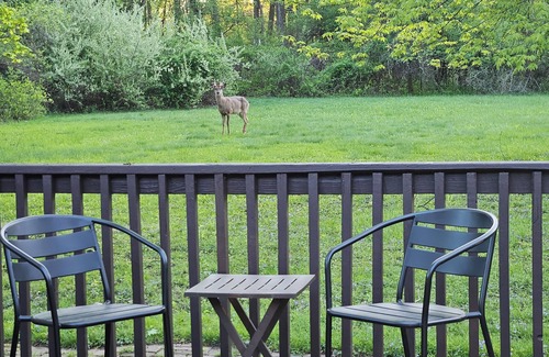 Southfield House | 3-bedroom home away from home in tranquil Southfield, quiet and peaceful.