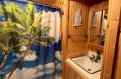Mecosta Cottage | 3 Br~ Cottage On Pretty Lake ~ Great Getaway & Family Vacation!