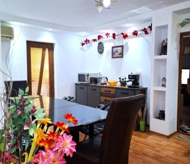 Tulcea Apartment | 3-Room Delta Modern Residence