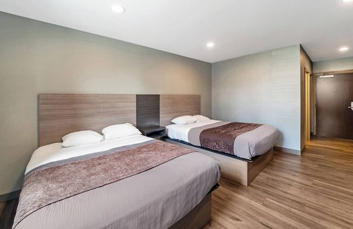Foxboro House | 3 Units with FREE Parking & FREE Breakfast, Walk to Nature Trail & Cranberry Bog