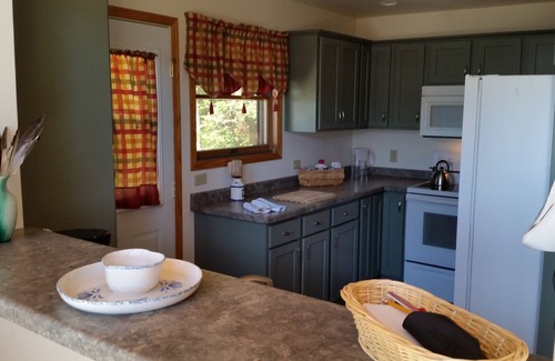 Gulliver House | 324' Lake Mich Beach, Cent.AC 4kayaks,9bikes well stocked,no neighbors 200+ft