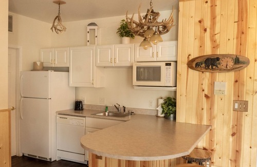 Delavan Lake Condo | 330 - Log Cabin Style One Bedroom Condo Suite w/2 Queens