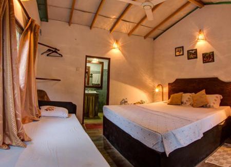 Kotapola Cabin | 360 Rainforest