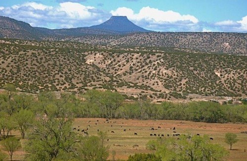 Abiquiu House | 372+ Reviews, B & B style, Hot Tub, Horses, Alpacas, Mini Donkeys, 360 views!