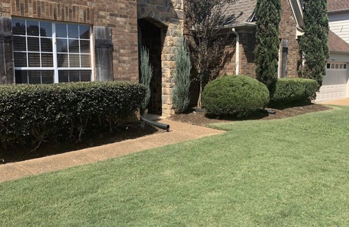 Cordova House | 3BR Spacious Suburban Home Near Wolfchase