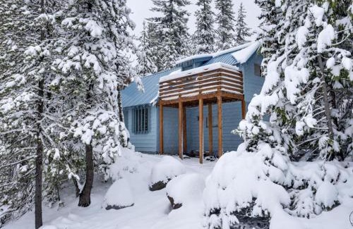 Government Camp House | 3Dogs Cabin