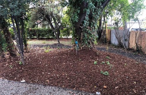 Medford House | 4-bedroom TV in each room. Convenient location. Ample Parking.