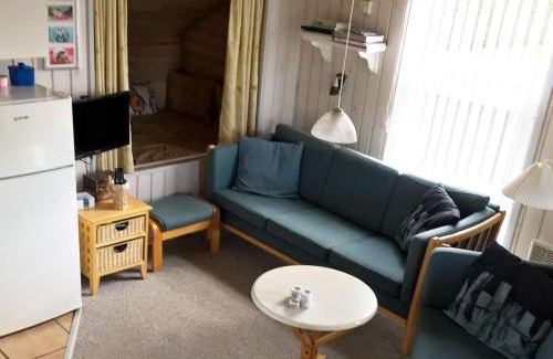 Falen House | 4 person holiday home in Hemmet