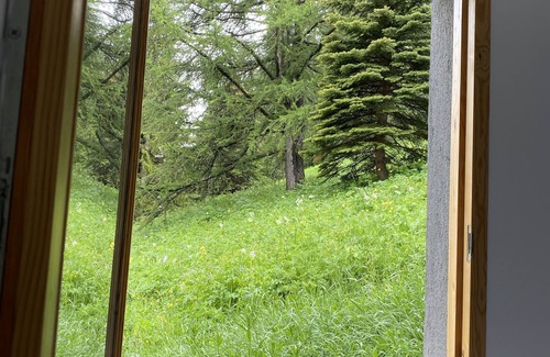 Allos Apartment | 4-room apartment at the foot of the slopes and resort center