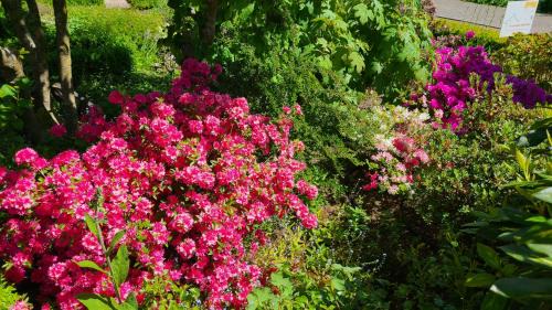 Aschhauserfeld House | 4 Sterne Ferienhaus Marlene mit großem Garten