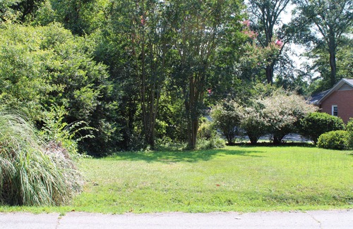 Clemson House | 4BR Clemson Retreat:Safe, Quiet Street Near Campus & Parks