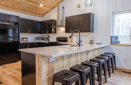 Phelps House | 4BR w/Private Lake Access!Game Room!Kayaks!Grill!