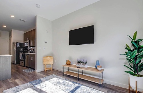 Downtown Louisville Apartment | 4th Street Suites - Extravagant King Bed Suite