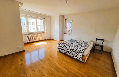 Wipkingen Apartment | 5 Bedroom City Center Apartment with Balcony Dorf - Self Checkin