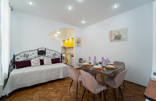 Cluj-Napoca City Centre Villa | 5* noble house in historic center