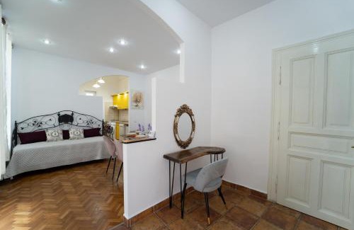 Cluj-Napoca City Centre Villa | 5* noble house in historic center