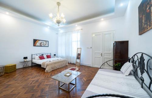 Cluj-Napoca City Centre Villa | 5* noble house in historic center
