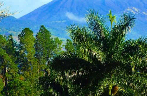 Cachi House | 5 Star Charming Private Mountain Bungalow w/Volcano View Perfect Climate Utopia