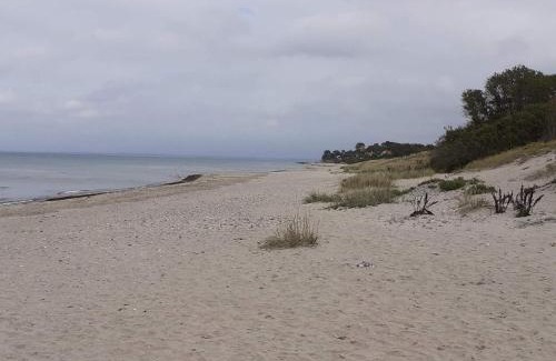 Dronningmolle House | 5 star holiday home in Dronningmølle