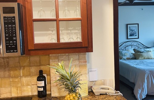 Wailua Condo | ⭐️⭐️⭐️⭐️⭐️ 5-Star Waipouli Beach Resort Amazing Ocean view from every room