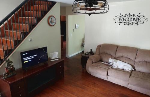 Williamstown House | 5BR Home - Pets Allowed by ARK Experience
