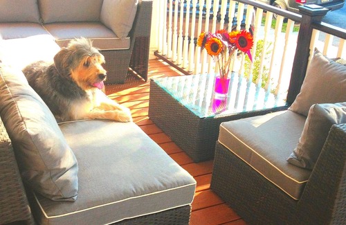 Asbury Park House | 5min Walk to Asbury Park Beach! 4BR 2BA with Parking!