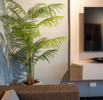 Suramericana Apartment | 5STARHOMES - Estilo y confort en Laureles